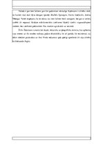 Konspekts 'Erika Ādamsona noveles "Abakuka krišana" analīze', 4.