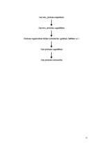 Paraugs 'Pārtikas mazumtirdzniecības paškontroles sistēma', 11.