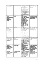 Paraugs 'Pārtikas mazumtirdzniecības paškontroles sistēma', 15.
