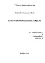 Referāts 'Sadzīves atkritumu radītais kaitējums', 1.