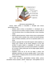 Referāts 'Sadzīves atkritumu radītais kaitējums', 6.