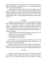 Referāts 'Sadzīves atkritumu radītais kaitējums', 13.