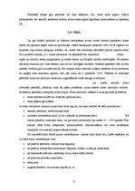 Referāts 'Sadzīves atkritumu radītais kaitējums', 15.