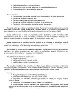 Konspekts 'Korupcija', 2.