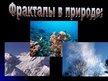 Prezentācija 'Фрактал', 12.