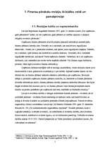 Diplomdarbs 'Auditordarbības pamatprincipi gada pārskata revīzijā uzņēmumā', 5.