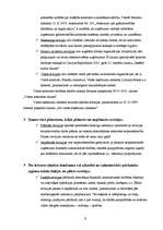 Diplomdarbs 'Auditordarbības pamatprincipi gada pārskata revīzijā uzņēmumā', 9.