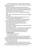 Diplomdarbs 'Auditordarbības pamatprincipi gada pārskata revīzijā uzņēmumā', 13.