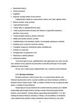 Diplomdarbs 'Auditordarbības pamatprincipi gada pārskata revīzijā uzņēmumā', 18.