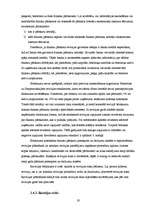 Diplomdarbs 'Auditordarbības pamatprincipi gada pārskata revīzijā uzņēmumā', 19.