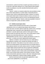 Diplomdarbs 'Auditordarbības pamatprincipi gada pārskata revīzijā uzņēmumā', 26.