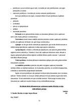 Diplomdarbs 'Auditordarbības pamatprincipi gada pārskata revīzijā uzņēmumā', 38.