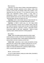 Referāts 'Vērtības, to nozīme organizācijā', 2.