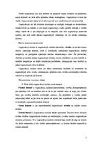 Referāts 'Vērtības, to nozīme organizācijā', 3.