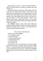 Referāts 'Vērtības, to nozīme organizācijā', 6.