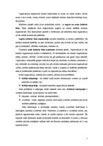 Referāts 'Vērtības, to nozīme organizācijā', 7.