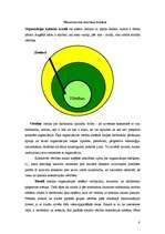 Referāts 'Vērtības, to nozīme organizācijā', 8.