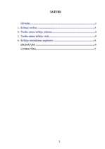 Referāts 'Kolīziju tiesību jēdziens. Kolīziju tiesību normas', 18.