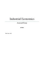 Eseja 'Industrial Economics: Mergers', 1.