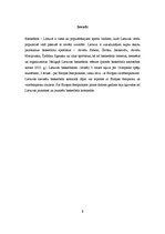 Konspekts 'Basketbols Lietuvā', 2.