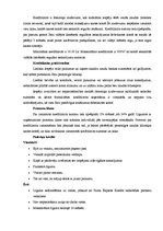 Referāts 'A/s "Parekss banka"', 19.