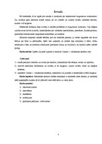 Referāts 'Skolioze', 4.