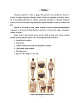 Referāts 'Skolioze', 7.