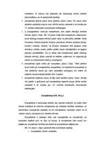 Referāts 'Amatnoziegumi', 6.