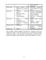 Biznesa plāns 'Radio "Boss" biznesa plāns', 21.