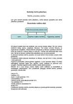 Konspekts 'Pirmsskolas un sākumskolas pedagoģijas apakšnozares teorētisko atziņu aprobācija', 3.