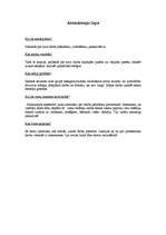 Konspekts 'Pirmsskolas un sākumskolas pedagoģijas apakšnozares teorētisko atziņu aprobācija', 4.