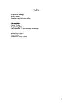 Biznesa plāns 'SIA "Smaidas"', 5.