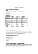 Biznesa plāns 'SIA "Smaidas"', 13.