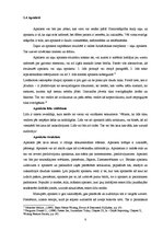 Referāts 'Ziņu un aprakstu veidošana žurnālistikā', 8.