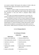 Referāts 'SIA "SN Būvgrupa" stratēģijas analīze', 10.