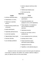 Referāts 'SIA "SN Būvgrupa" stratēģijas analīze', 11.