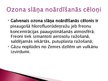 Prezentācija 'Ozona slāņa noārdīšanās', 7.