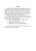 Referāts 'Makroekonomikas galvenie rādītāji Latvijā', 3.