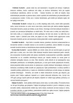 Referāts 'Pieprasījums un piedāvājums darbaspēka tirgū', 15.