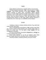 Konspekts 'Senie mūzikas instrumenti', 6.