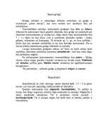 Konspekts 'Senie mūzikas instrumenti', 8.