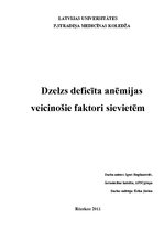 Diplomdarbs 'Dzelzs deficīta anēmijas veicinošie faktori sievietēm', 2.