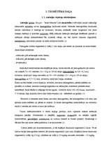 Diplomdarbs 'Dzelzs deficīta anēmijas veicinošie faktori sievietēm', 7.