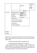 Diplomdarbs 'Dzelzs deficīta anēmijas veicinošie faktori sievietēm', 14.