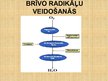 Prezentācija 'Mācību materiāls dietoloģijā', 47.
