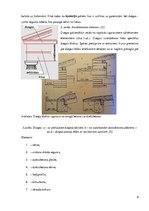 Referāts 'Sienu elementi (ailstarpas, puskolonnas, pilastri, kontrforsi, nišas, dzegas, po', 8.