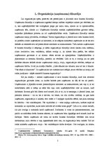 Eseja 'Organizāciju, uzņēmumu filosofija', 2.