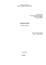 Referāts 'Izsaukuma zīme', 1.