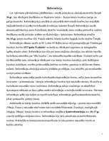 Konspekts 'Reformācija', 1.