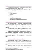 Referāts 'Niķelis', 2.